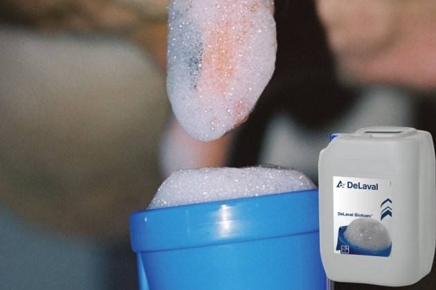 In Fiera a Cremona Green Evolution presenta le grandi potenzialità del Biofoam