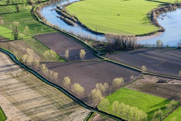 Cremona, inaugurata al Museo Civico di Storia Naturale ‘Fiori e paesaggio’