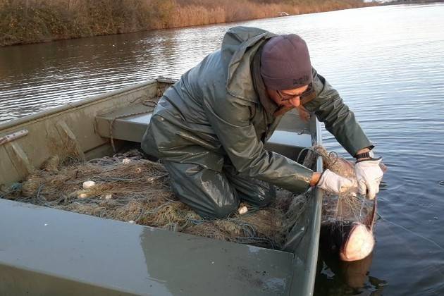 Contrasto al bracconaggio sul Po: Piacenza, Lodi, Cremona e Pavia insieme