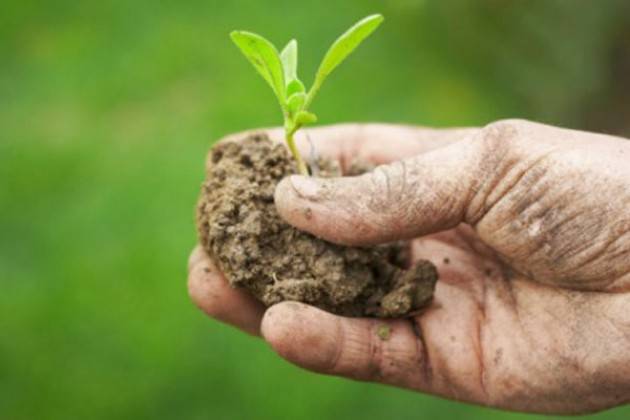 AICS: ‘Dopo il record del 2014, biologico al +20% nel 2015. Quale affare ogm?’