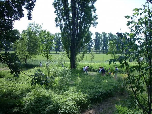 Desenzano - Cresce il polmone verde di Desenzano del Garda