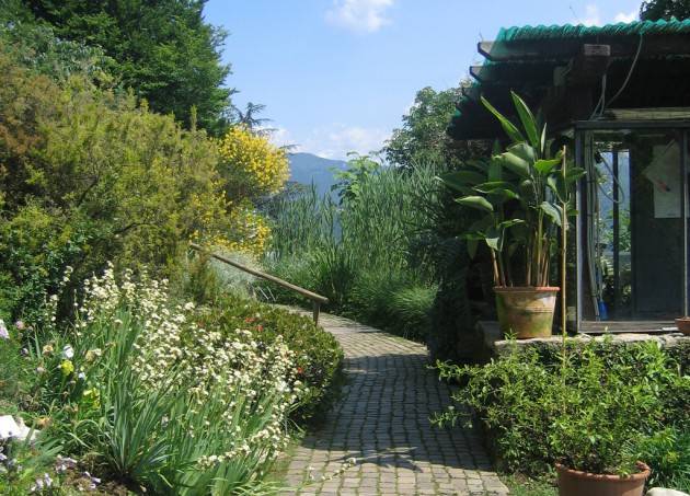 Bergamo - Valle della Biodiversità, riapertura stagionale della sezione di Astino dell’Orto Botanico