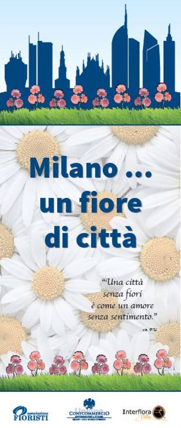 Milano…un fiore di città Grosse sfere di margherite
