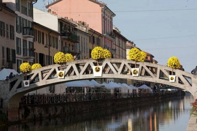 Milano…’un fiore di città’ Grosse sfere di margherite  con i fioristi milanesi per “Fiori sul Naviglio Grande” 2016