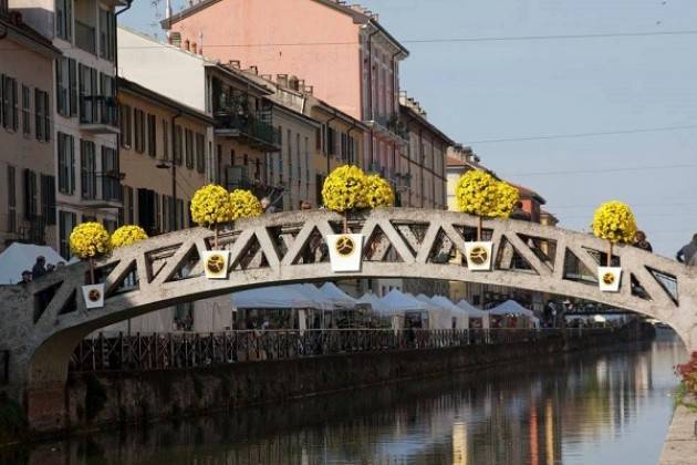 Milano…’un fiore di città’ Grosse sfere di margherite con i fioristi milanesi per “Fiori sul Naviglio Grande” 2016