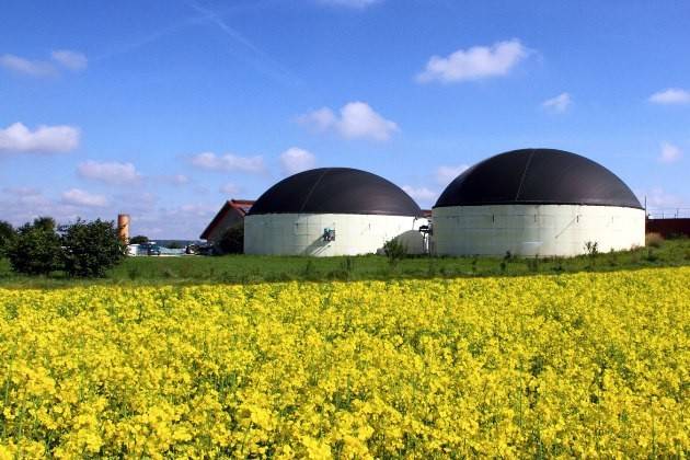 BioEnergy Italy: 70 milioni di tonnellate di FORSU in UE, solo 8 per il biogas