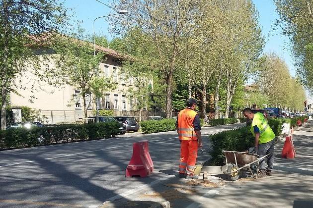 Cremona, avanzano i lavori di manutenzione in Viale Po
