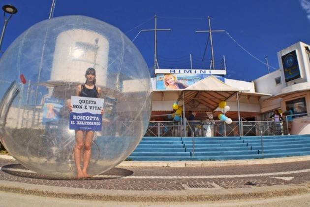 Ass. Essere Animali, flash mob nel giorno di apertura del Delfinario di Rimini
