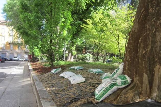 Cremona, lavori di manutenzione in centro sul verde e le pavimentazioni
