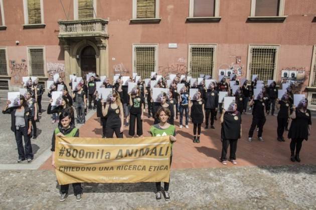 Bologna: manifestazione di ‘Essere Animali’ davanti al ‘Galletti Lab’