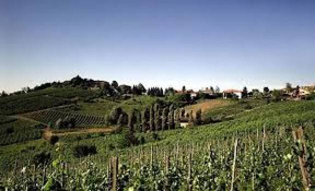 Terre Oltrepò