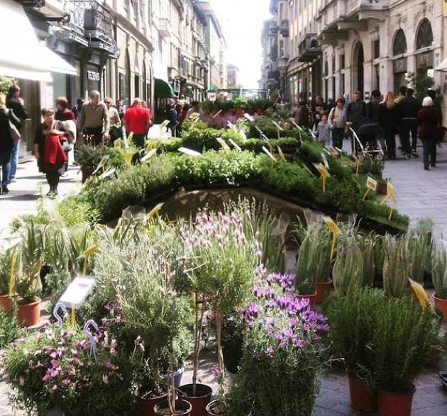 Cremona Un successo le invasioni botaniche 2016