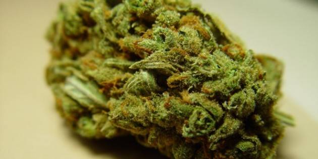 Sondrio - Denunciato peruviano.