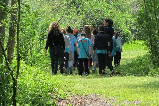 Cremona, domenica pomeriggio torna ‘Maggio al bosco’ per conoscere l’ambiente