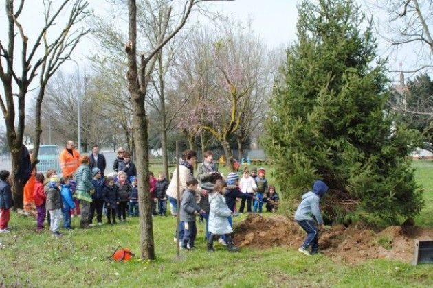Anche allo Zaist di Cremona il degrado del verde pubblico continua