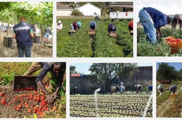 Lavoro nero Caporalato, Galli (Flai-Cgil) Piaga senza limiti che va combattuta