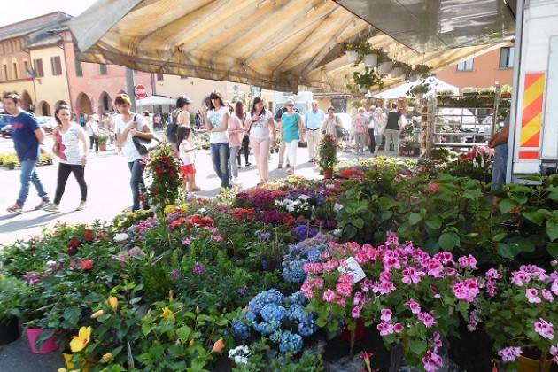 Pizzighettone 28° Tre giorni in piazza