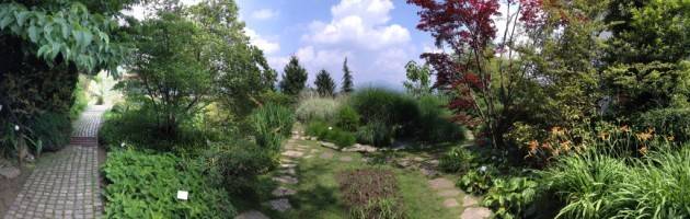 Bergamo - Corsi di pittura botanica all'Orto di Bergamo Alta