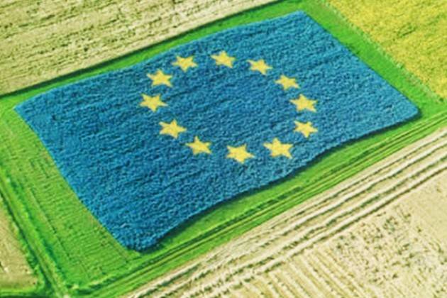 Nuova Politica agricola comune: per le domande c’è tempo fino al 15 giugno