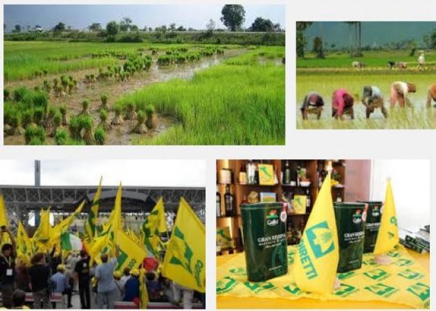 Solidarietà, in cinque piazze lombarde il riso italiano che aiuta l’agricoltura nel mondo