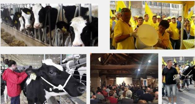 Latte, Fava: riportare trattativa a Milano