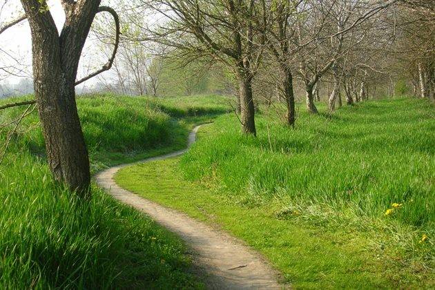 Gerre (Cremona), sabato la Convenzione del PLIS del Parco del Po e del Morbasco