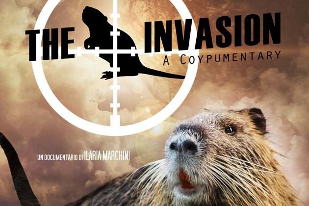 Crema, serata di proiezione di ‘The Invasion’, il documentario sulle nutrie