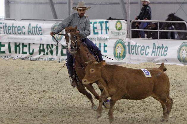 Cremona, Fitetrec a tutto campo al salone del cavallo americano