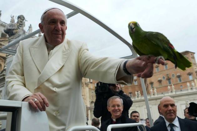 Associazione Gabbie Vuote, risposta alle parole del papa su cani e gatti