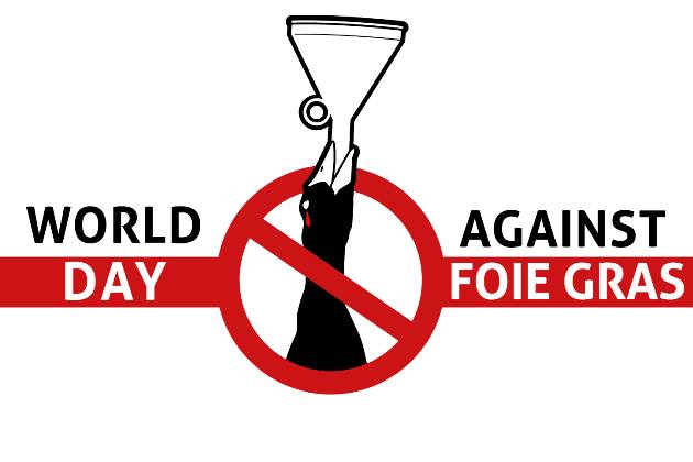 Foie gras, Essere Animali esulta: Eataly cesserà di venderlo