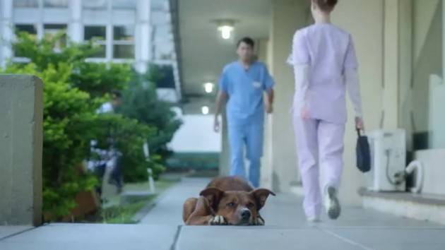 Nosocomio cittadino, chirurgia generale, le eccellenze si costruiscono di Giorgino  Carnevali (Cremona)