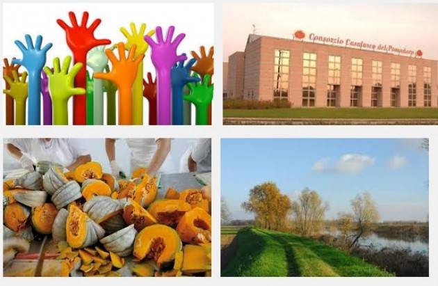 Brevi dal Casalasco  Giovedì 26 maggio 2016