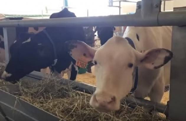 Cremona Fiere Il sistema produttivo agro-zootecnico italiano presentato oggi in Iran.