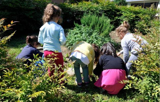 Milano - Realizzati 134 orti nelle scuole dell’infanzia milanesi