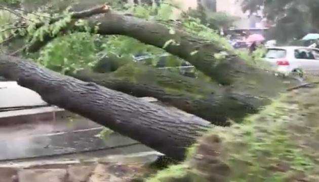 Milano - Fuoriuscito il fiume Lambro, Preallarme per il Seveso.  Le previsioni del meteo non sono rasserenanti: pioverà fino al 2 giugno compreso