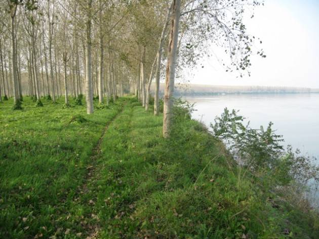 A Gussola per il 2 giugno biciclettata ambientale per conoscere la golena
