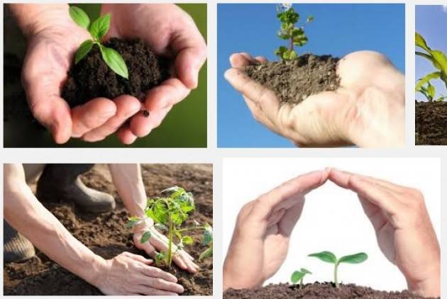 A CremonaFiere Con l’agricoltura di precisione un grande passo verso sostenibilità ambientale