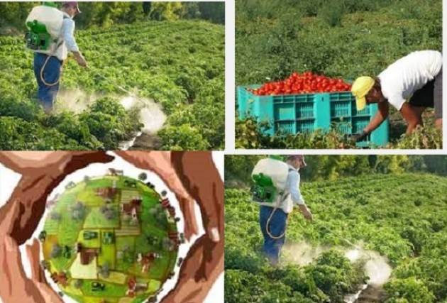 Convegno a Mantova su salute e sicurezza dei lavoratori stranieri in agricoltura