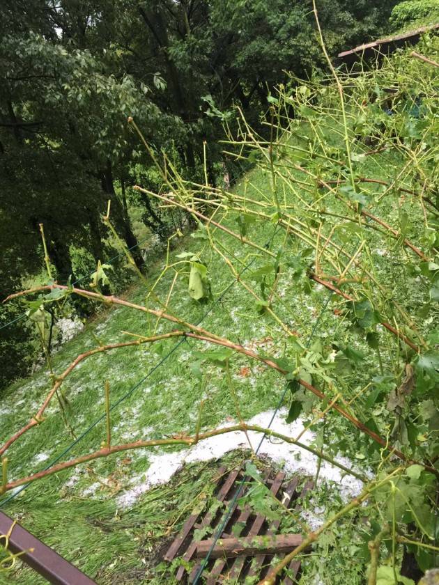 Bergamo bersagliata dalla grandine Maltempo, +70 cm in 12 ore per il Po