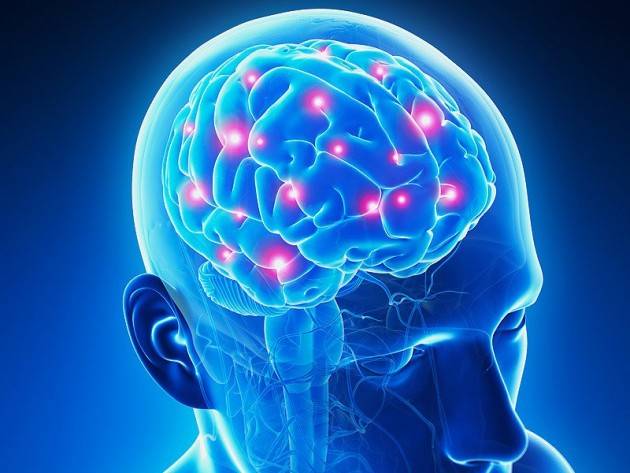 Il lato cognitivo della corteccia motoria