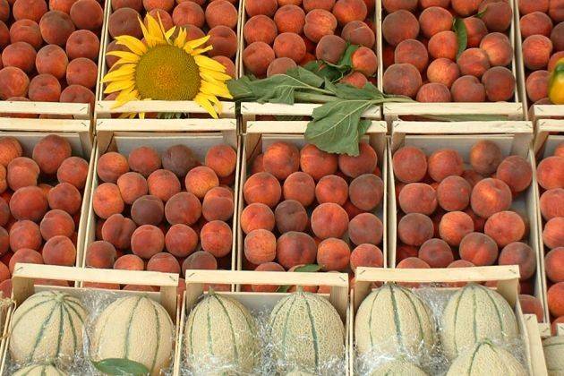 Cremona, Crema e Rivolta d’Adda, ‘Tutti frutti’ al Mercato di Campagna Amica