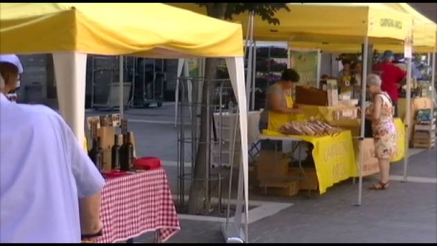 (Video) Campagna Amica della Coldiretti in piazza Stradivari a Cremona con tante pesche, meloni e non solo