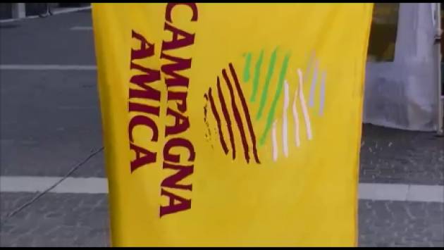 (Video) Campagna Amica della Coldiretti in piazza Stradivari a Cremona con tante pesche, meloni e non solo