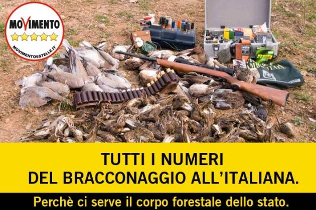 Ferraresi e Tripiedi (Movimento 5 Stelle): ‘Bracconaggio, legge troppo blanda’