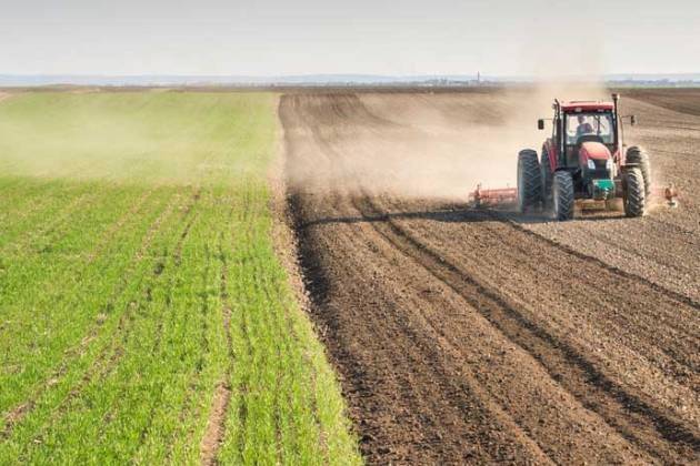 Collegato agricolo lombardo, Prandini (Coldiretti): ‘Bene per lo sviluppo italiano’