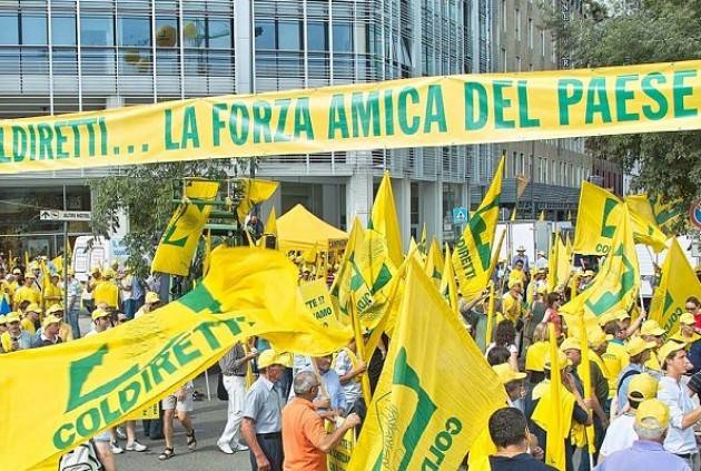 Per i vivaisti obbligatorio il registro professionisti Coldiretti Cremona : bene !!