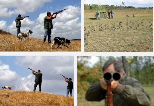 Il punto di Rosario Amico Roxas Si apre la caccia !   