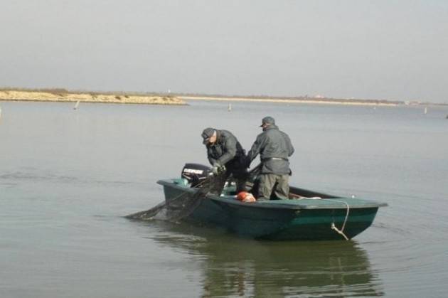 Pesca sostenibile nel Po Alloni (Pd) relatore del protocollo d’intesa  con le quattro regioni
