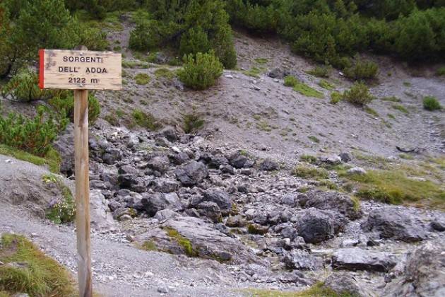 Ormai le sorgenti del fiume Adda sono vicine di Leonardo Del Priore