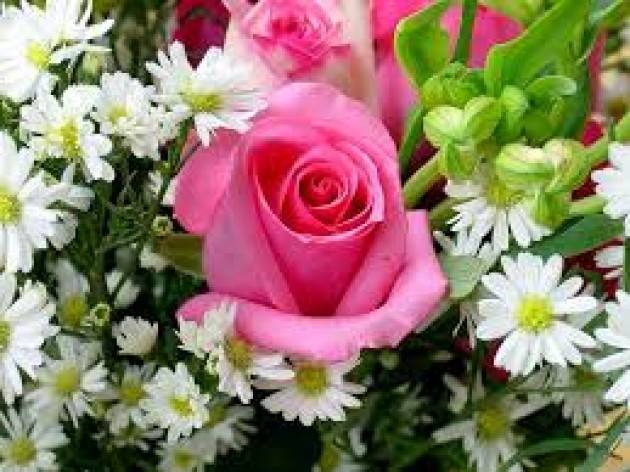 Regalare i fiori: come orientarsi in base al significato